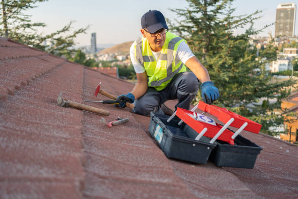 Best Same-Day Junk Removal Services  in Fallbrook, CA